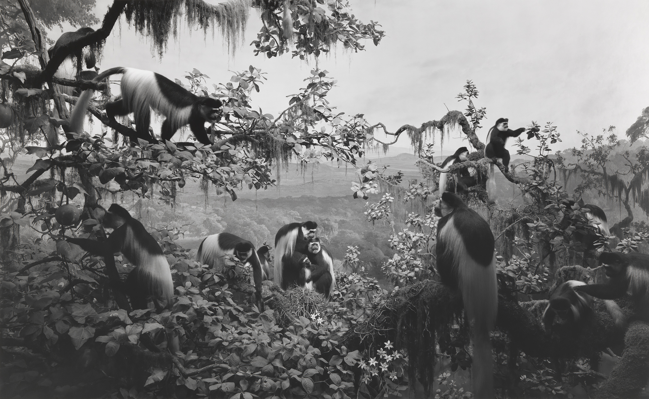 HIROSHI SUGIMOTO: EXTINCTION