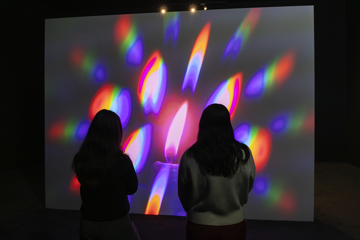ED ATKINS EXHIBITION